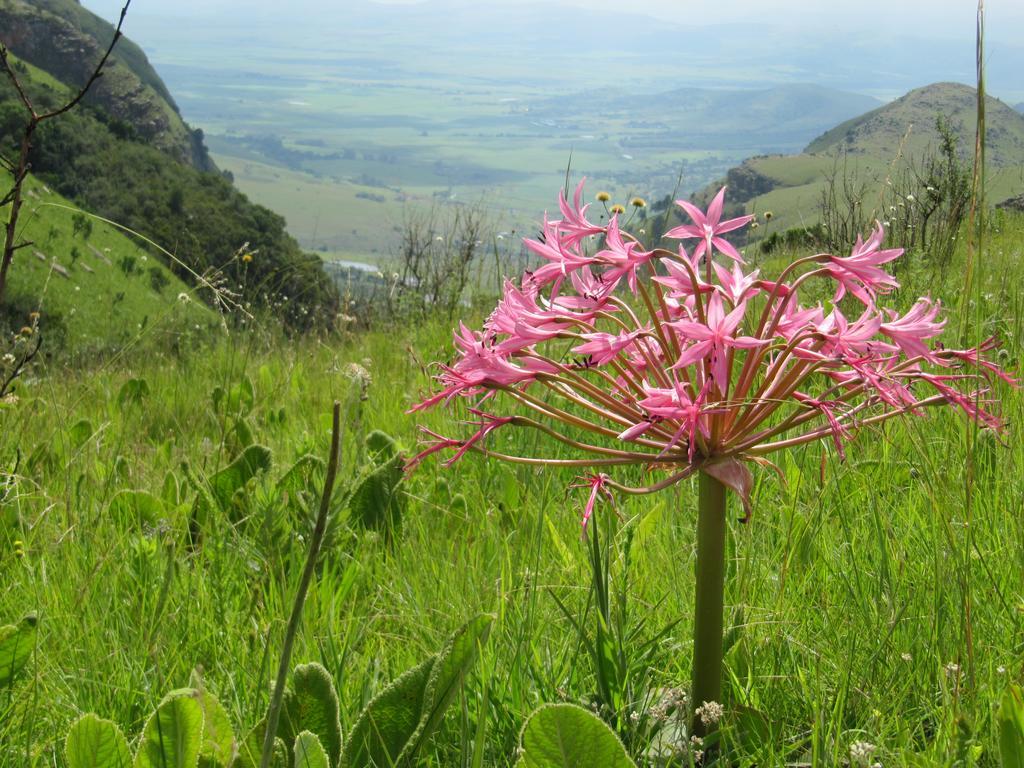 Verlorenkloof Dullstroom Bagian luar foto