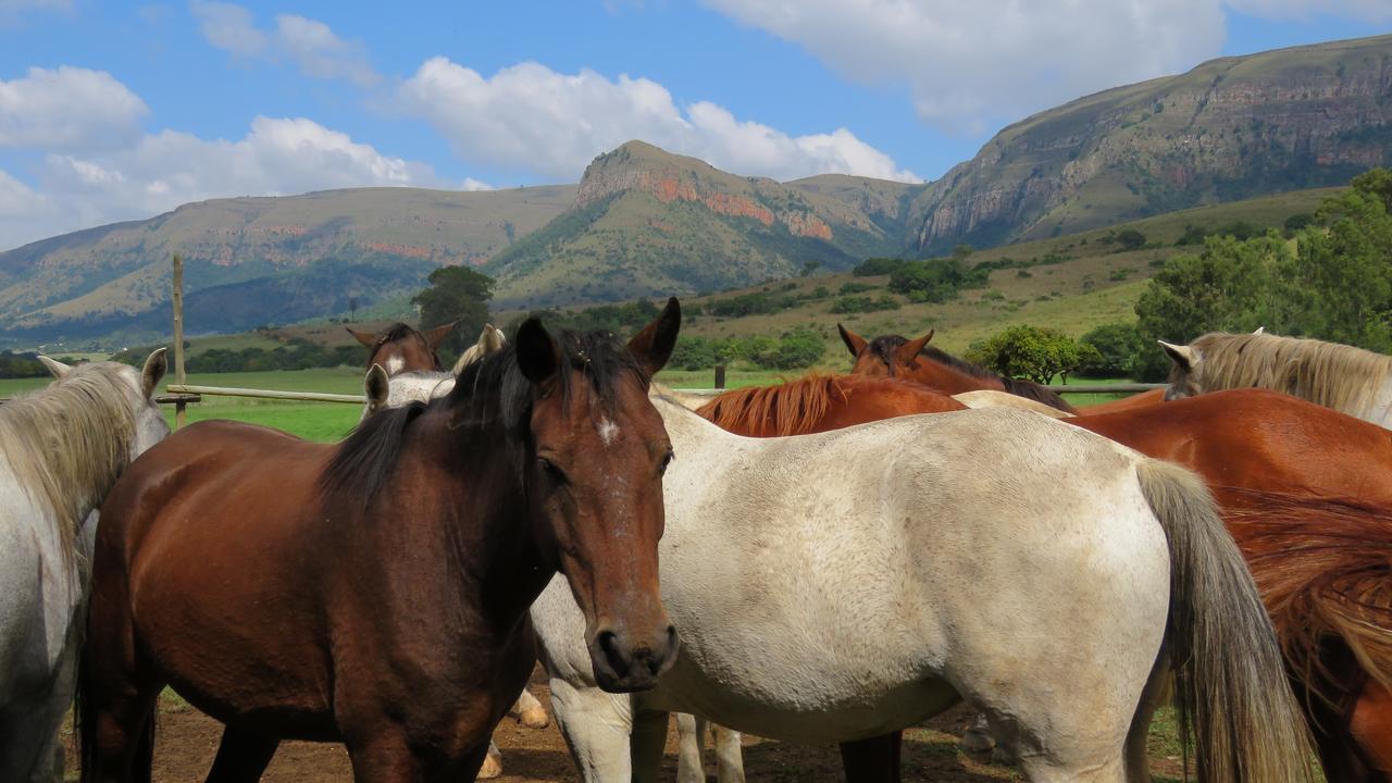 Verlorenkloof Dullstroom Bagian luar foto